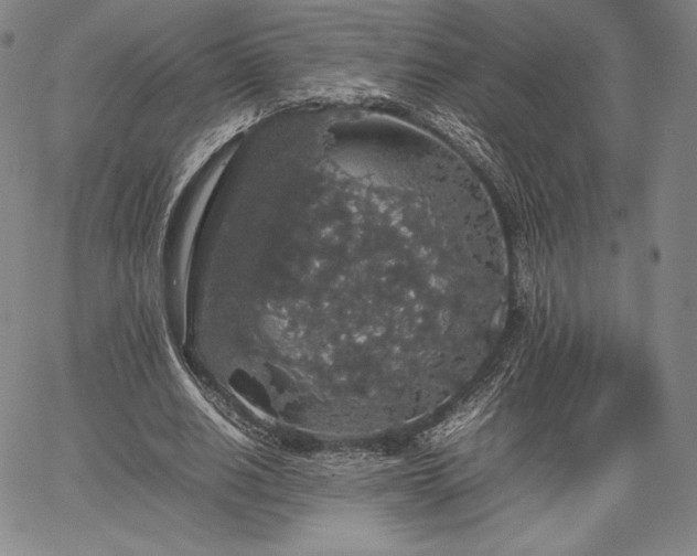 X0000067870630200604201219