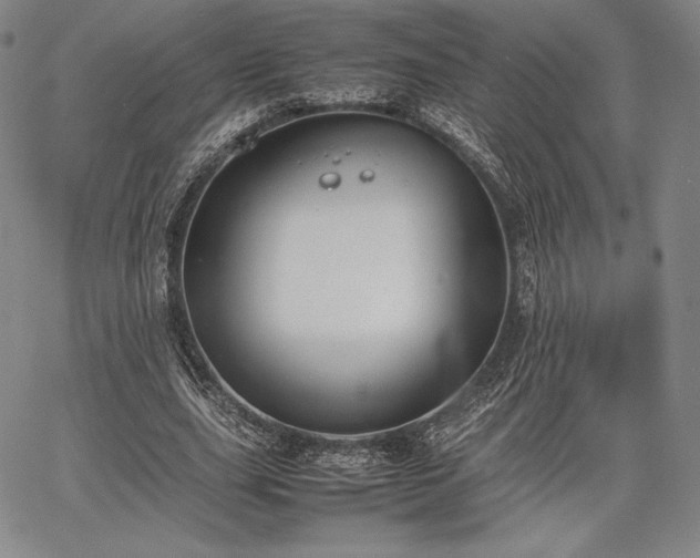 X0000067870631200604201219