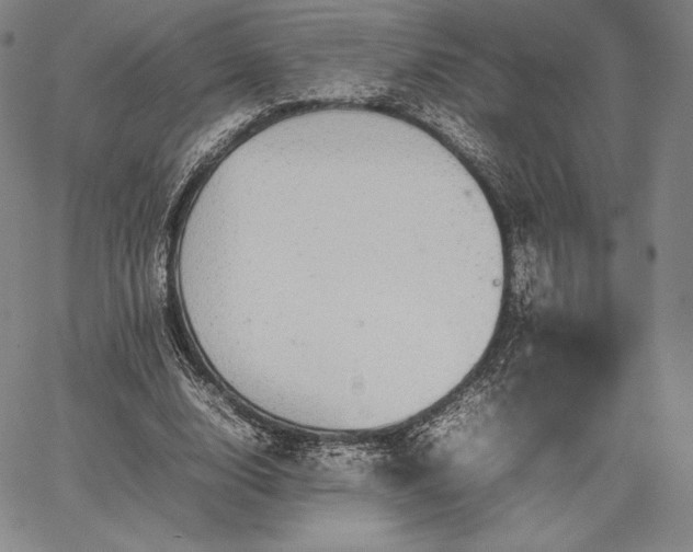 X0000067870632200604201219