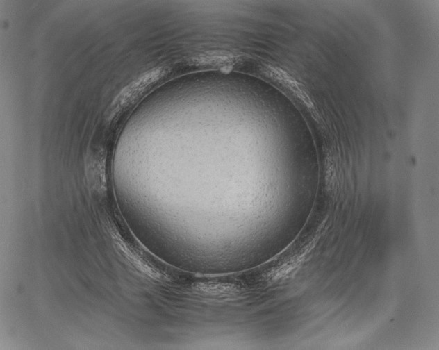 X0000067870633200604201219