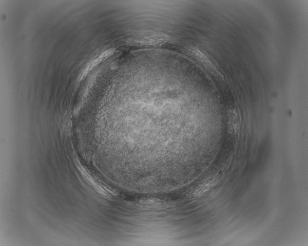 X0000067870634200604201219