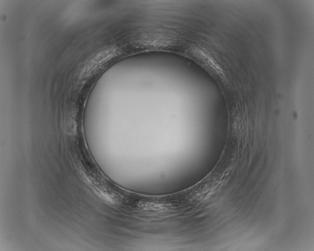 X0000067870635200604201219