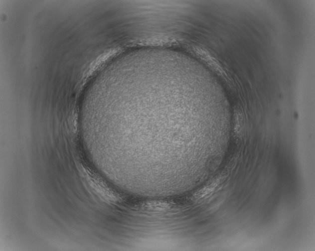 X0000067870636200604201219