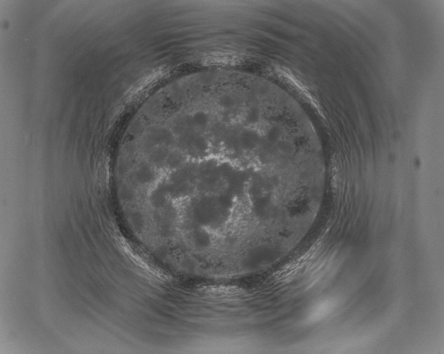 X0000067870637200604201219