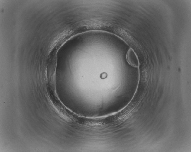 X0000067870638200604201219