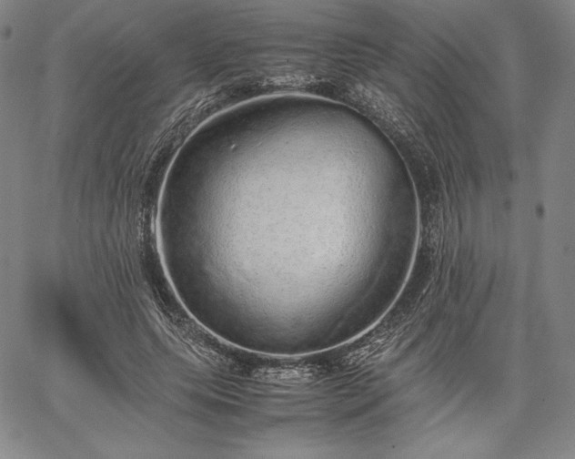 X0000067870639200604201219