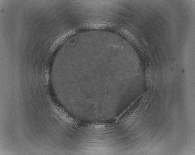 X0000067870640200604201219