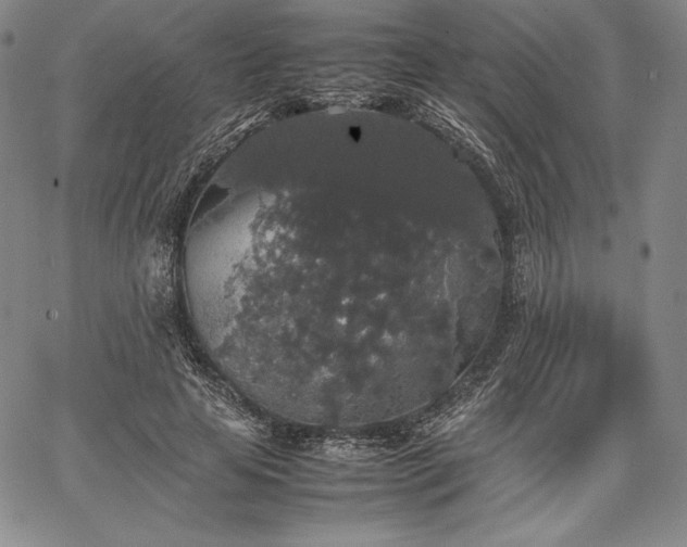 X0000067870641200604201219