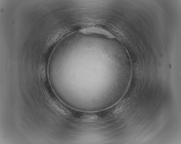 X0000067870642200604201219