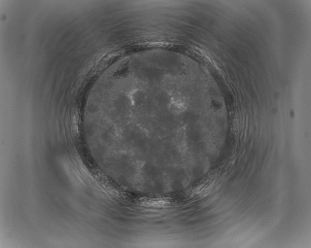 X0000067870643200604201219