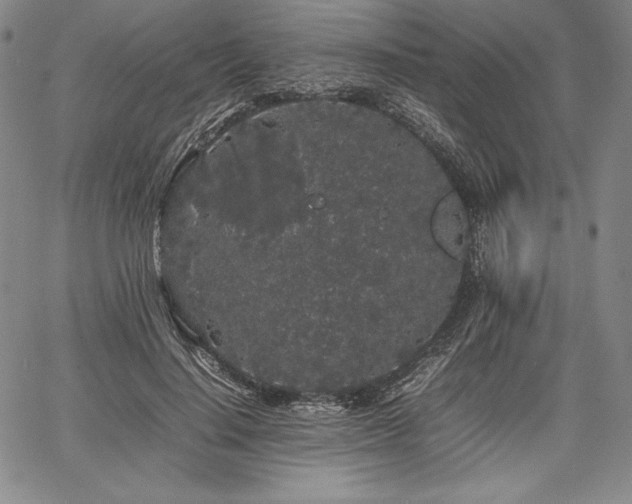 X0000067870644200604201219