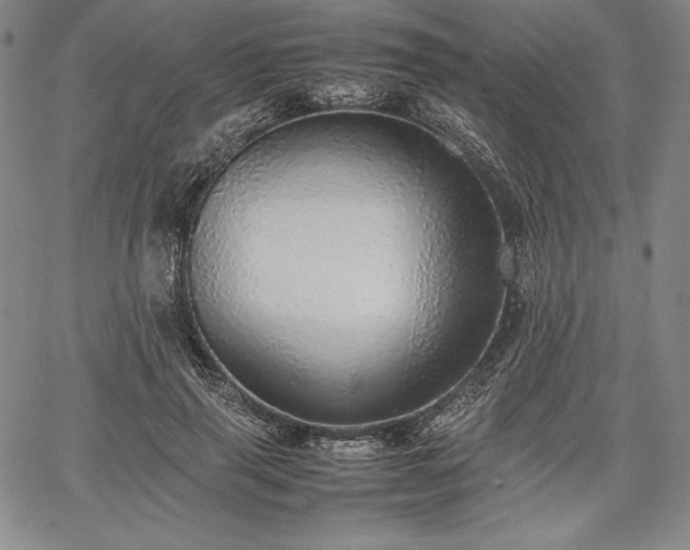 X0000067870645200604201219