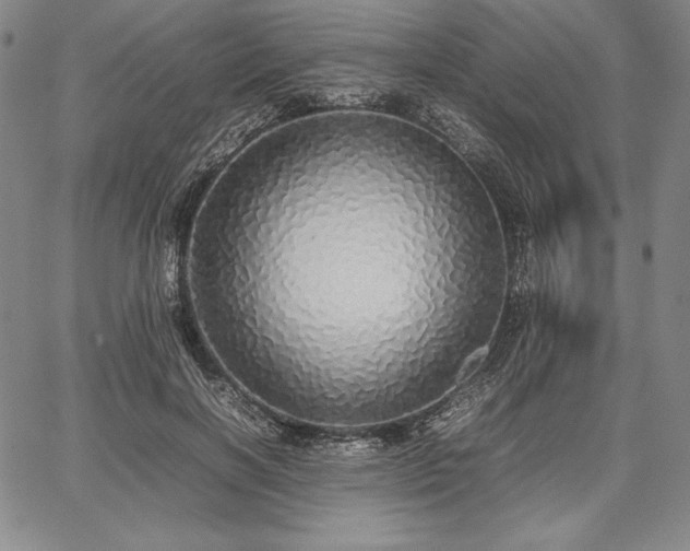 X0000067870646200604201219