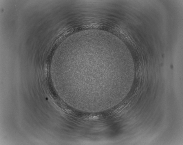 X0000067870647200604201219