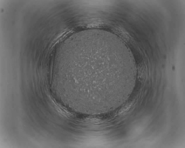 X0000067870648200604201219