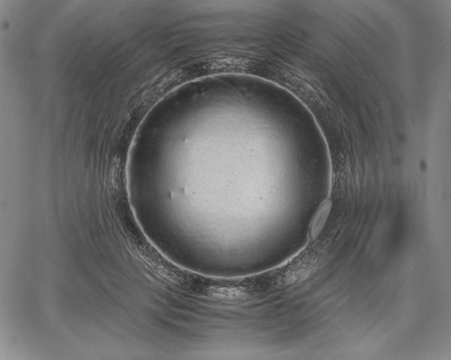 X0000067870649200604201219