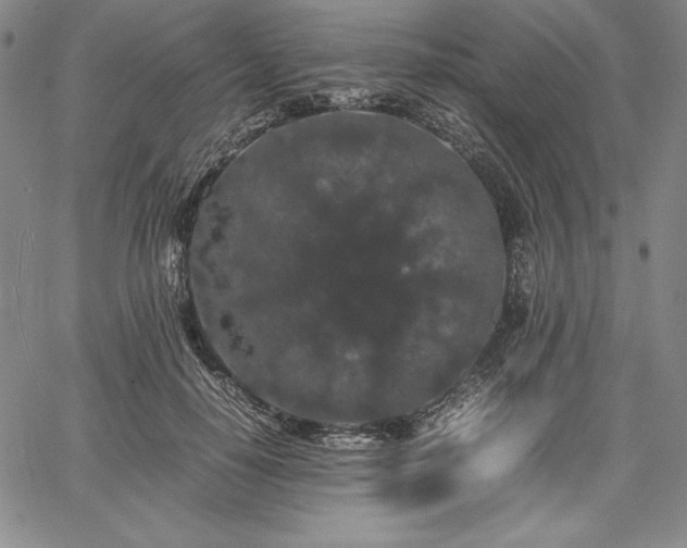 X0000067870650200604201219