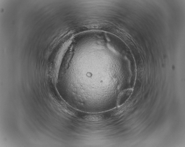 X0000067870652200604201219