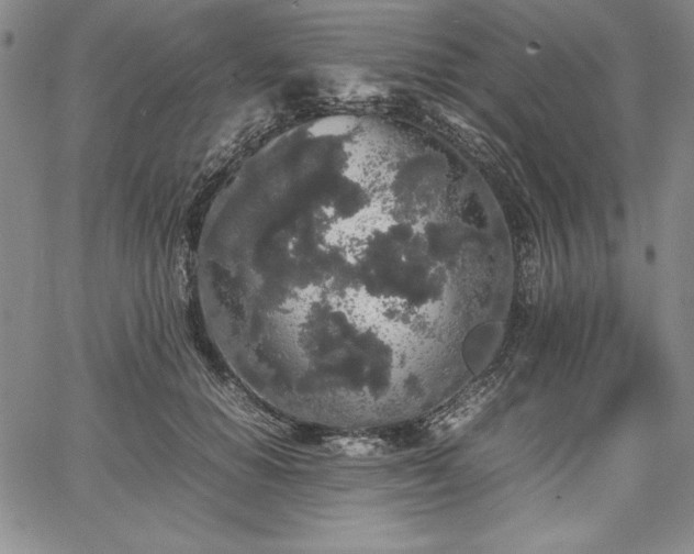 X0000067870654200604201219