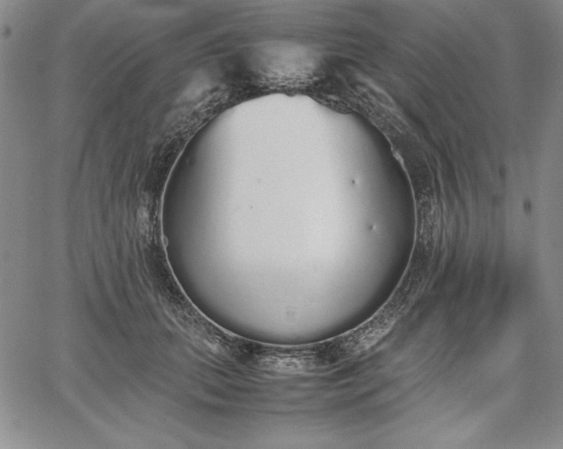 X0000067870655200604201219