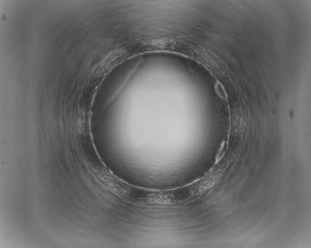 X0000067870656200604201219