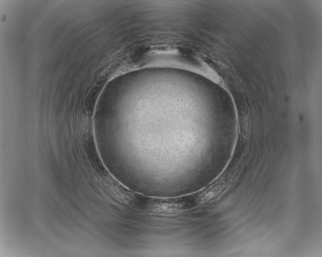 X0000067870657200604201219