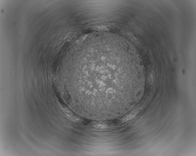 X0000067870658200604201219