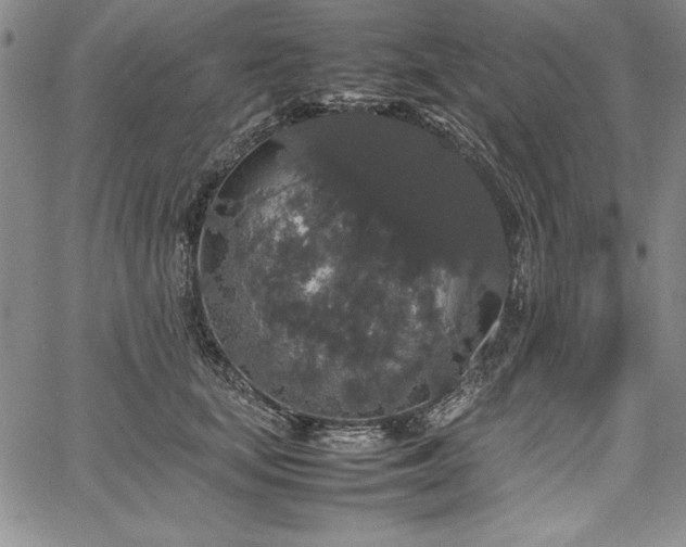 X0000067870659200604201219