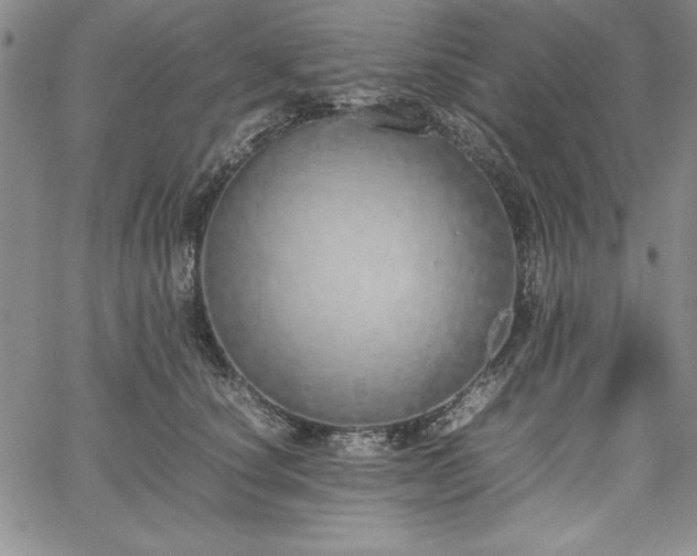 X0000067870660200604201219