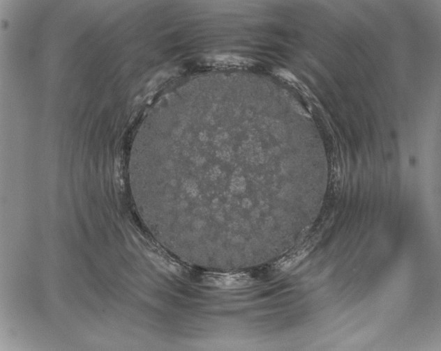 X0000067870663200604201219