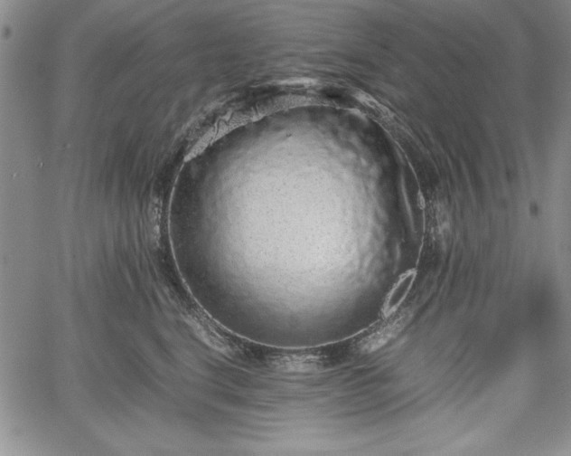 X0000067870664200604201219