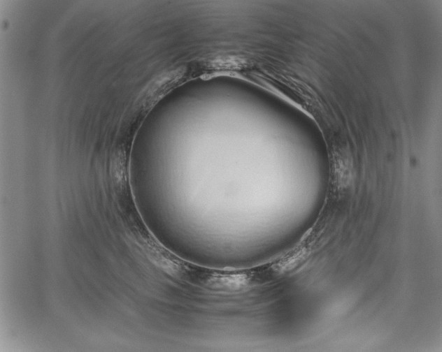 X0000067870665200604201219