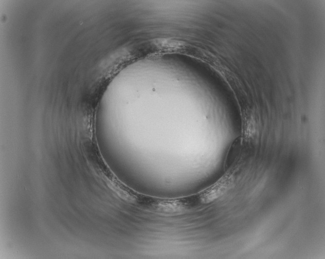 X0000067870666200604201219