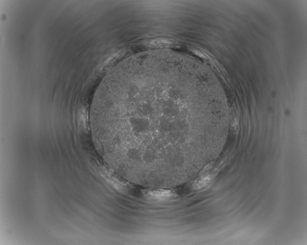 X0000067870669200604201219