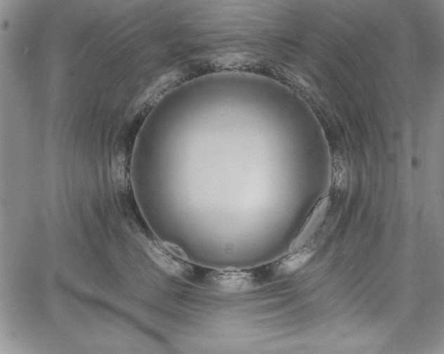 X0000067870670200604201219