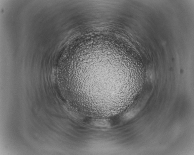 X0000067870671200604201219