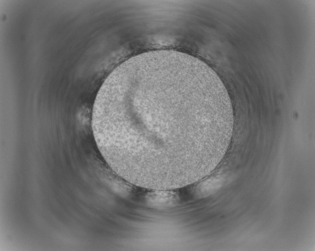 X0000067870672200604201219