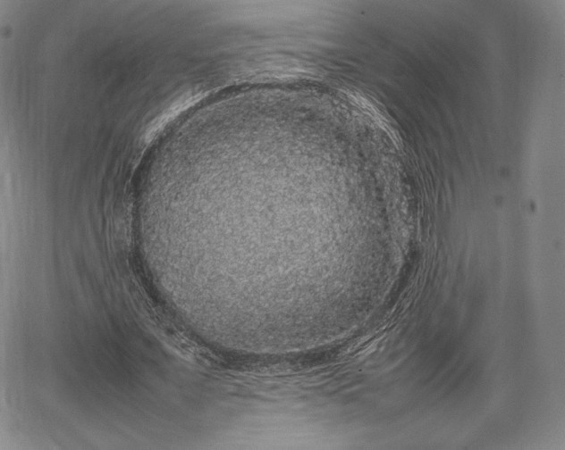 X0000067870675200604201218