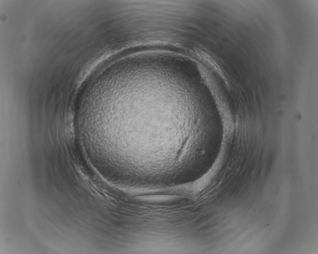 X0000067870676200604201218