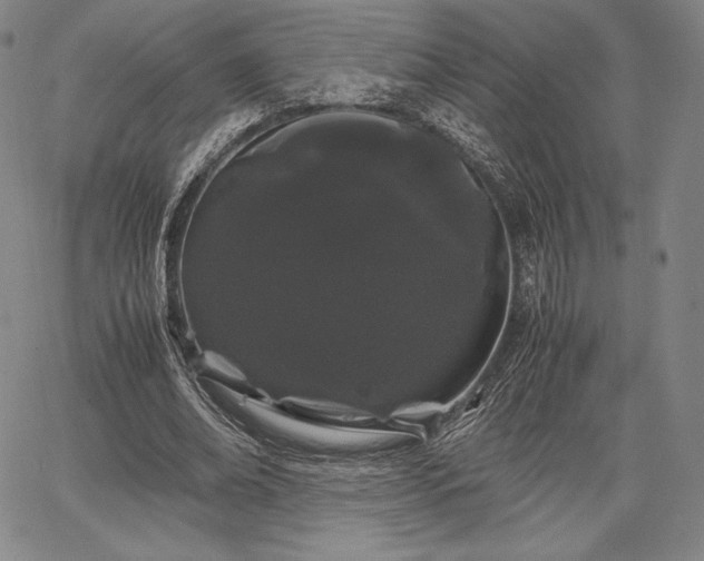 X0000067870678200604201218