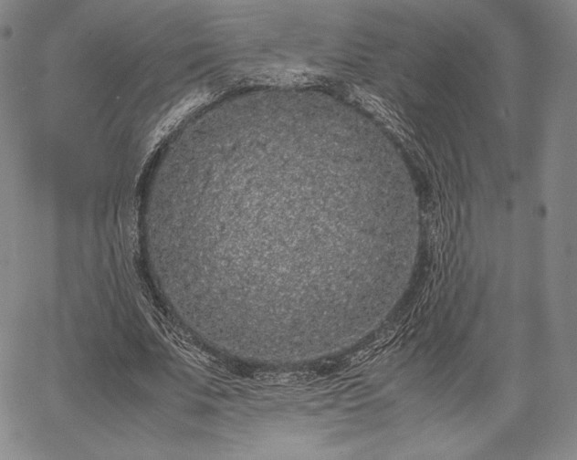 X0000067870679200604201218