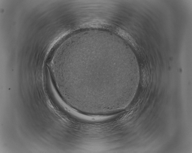 X0000067870680200604201218