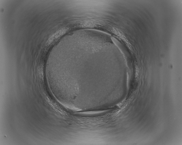 X0000067870681200604201218