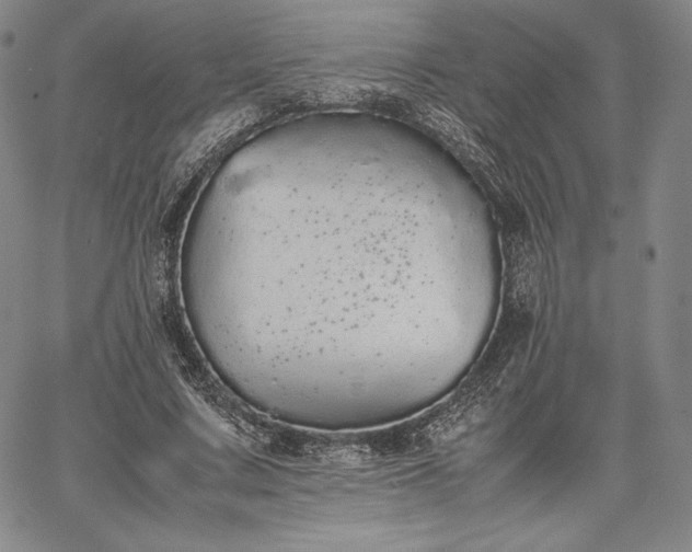 X0000067870683200604201218