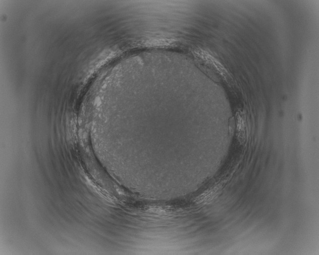 X0000067870684200604201218