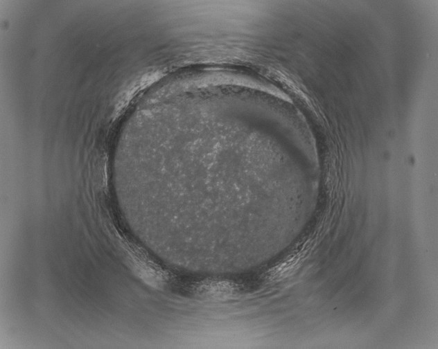 X0000067870685200604201218