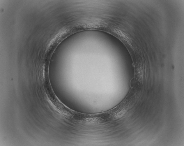 X0000067870686200604201218