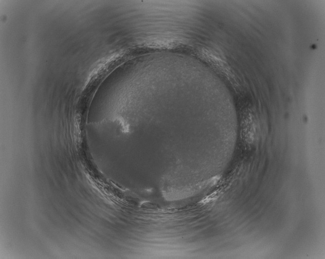 X0000067870688200604201218