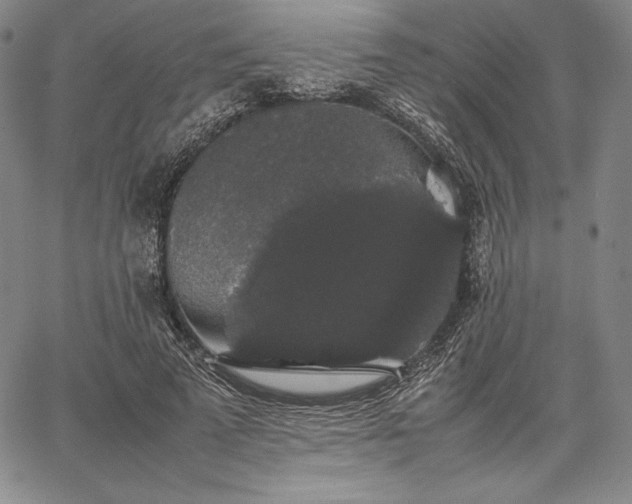 X0000067870689200604201218