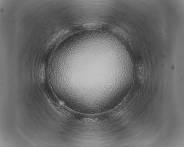 X0000067870690200604201218